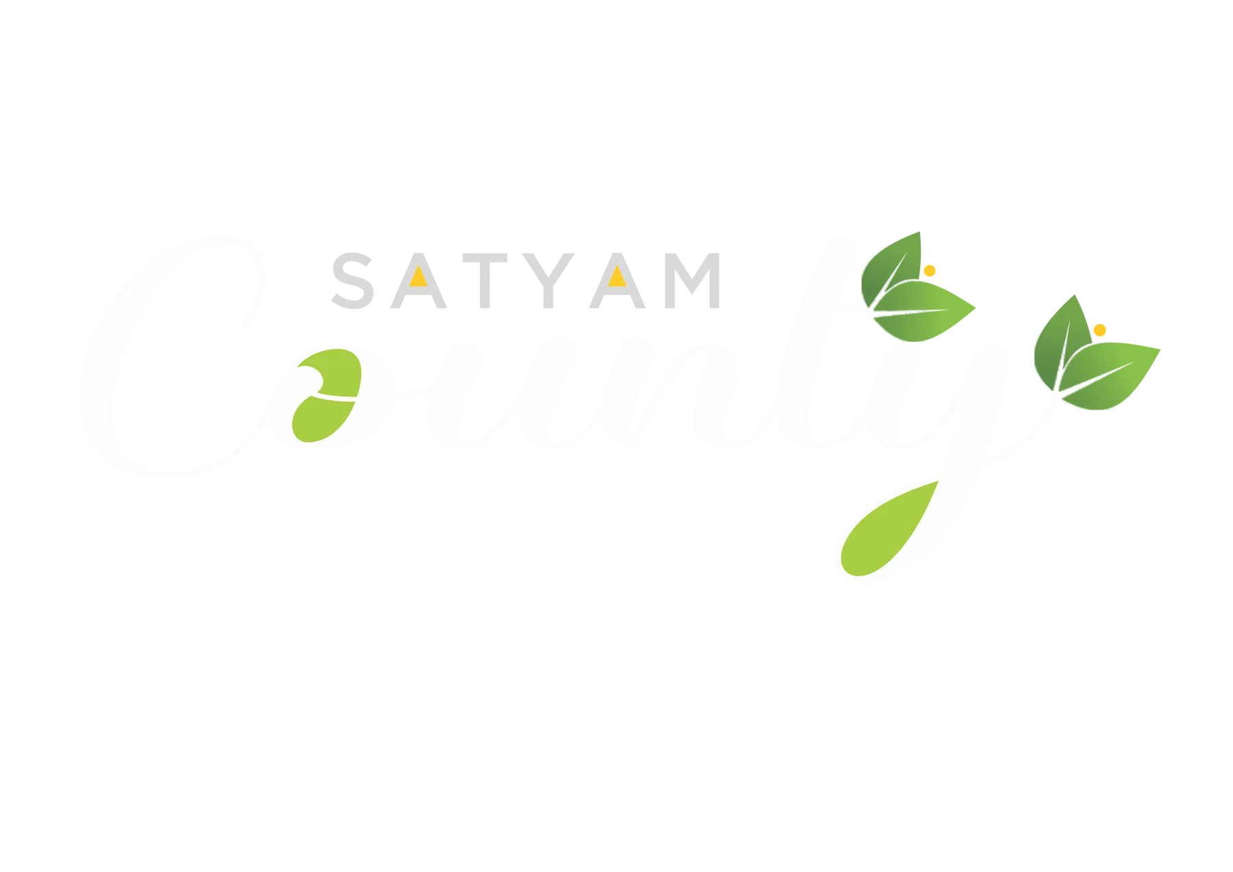 Satyam Group